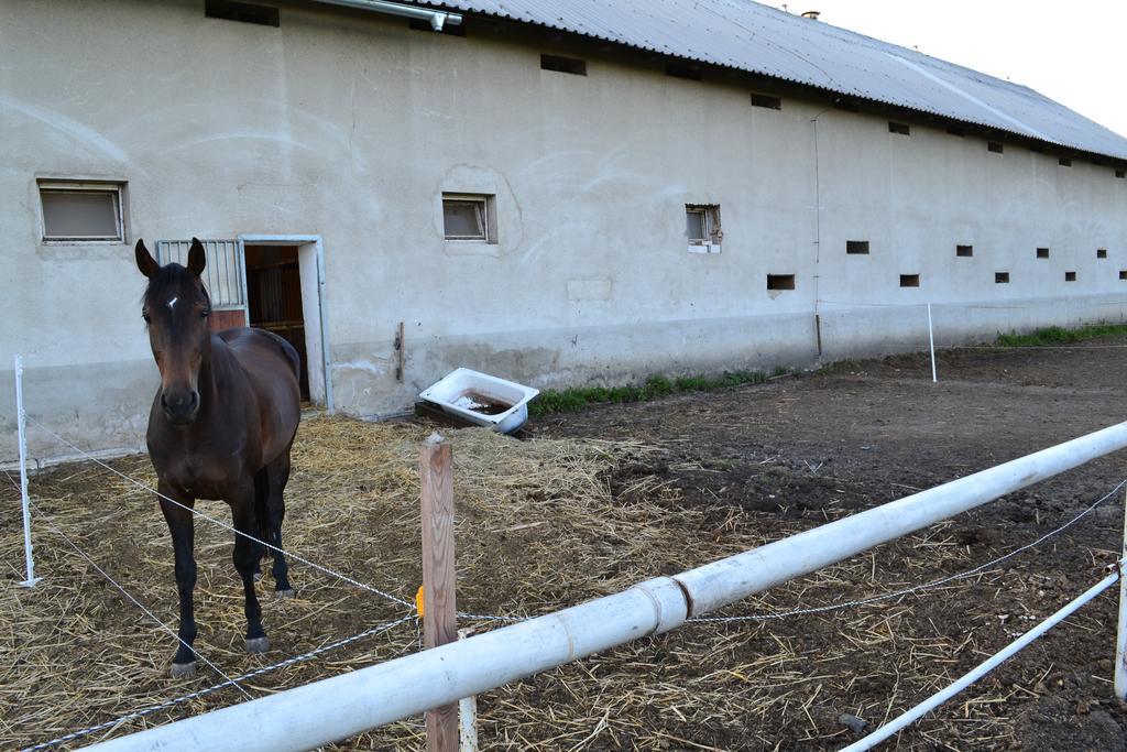 Penzion Eqilon Hotel Mělník Kültér fotó